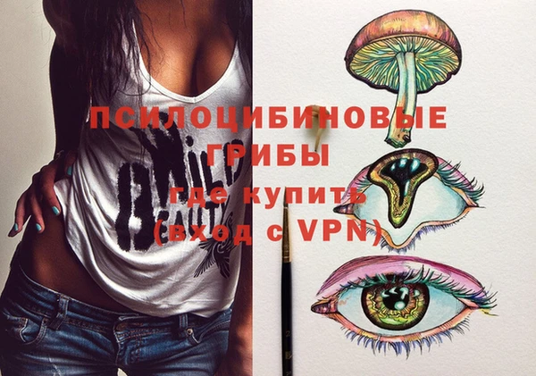 хмурый Алексеевка