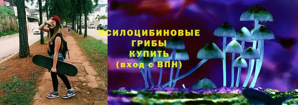 хмурый Алексеевка