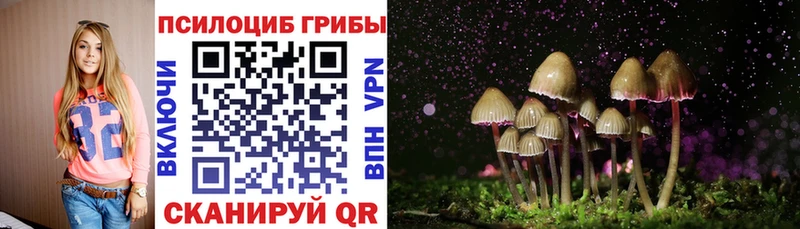 цена наркотик  Нововоронеж  Псилоцибиновые грибы Cubensis 