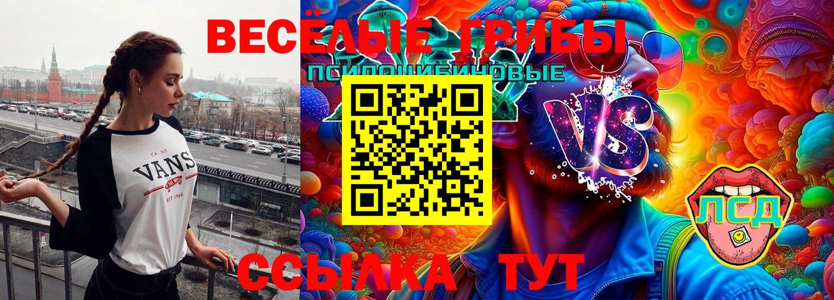Галлюциногенные грибы мухоморы  Вход с VPN  Нововоронеж 